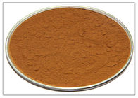 Kosmetik Rosemary Antioksidan Ekstrak, Rosemary Extract Powder CAS 20283 95 5