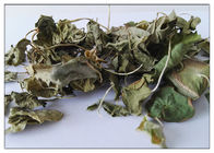 Ekstrak Herbal Herbal Tanaman Centella Asiatica Bubuk Dengan Madecassoside 90% CAS 34540 22 2