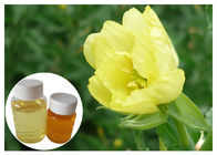 Breast GLA Organic Evening Primrose Oil Dari Food Grade Grade Ease Pain