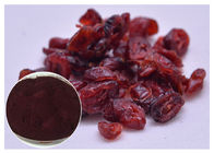 Anti Oksidasi PAC Ekstrak Cranberry Murni Untuk Suplemen Diet Uji UV