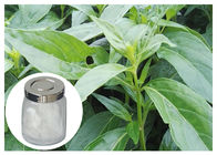 Herb Andrographis Paniculata Extract, 98% Andrographis Paniculata Powder