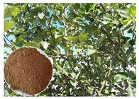 Antioksidan Kulit Ekstrak Tanaman Bubuk Phloretin Ekstrak Pohon &amp;amp; Ekstrak Kulit Apple