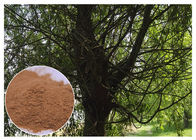 Ekstrak Tanaman Antimikroba Coklat, Salicin White Willow Bark Extract Menghilangkan Sakit Kepala