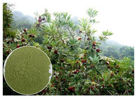 Myricetin 10% - 95% Natural Anti Inflammatory Suplemen Bayberry Root Bark Powder