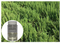 Anti Oksidasi Rosemary Minyak Atsiri Untuk Kulit Bumbu Herba Tak Berbahaya Bau