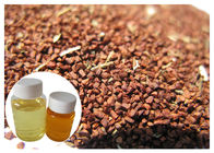 Lemak Darah Rendah Oenothera Biennis Oil, Evening Primrose Oil Liquid Gamma Linolenic Acid 10%