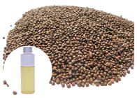 Food Grade Perilla Essential Oil Liquid, Cold Pressing Natural Plant Oils