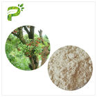 Air Solvent Bayberry Bark Extract Powder, Myricetin Anti Inflammatory Supplements