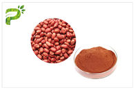 Anti Aging Proanthocyanidins PACs, Ekstrak Kacang Kulit Untuk Suplemen Makanan