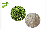 Anti - Karies Suplemen Diet Alami, Pasta Gigi EGCG Green Tea Extract CAS 989 51 5