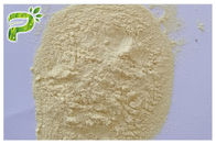 Milk Thistle Bubuk Ekstrak Herbal Silybin CAS 22888 70 6 Mencegah Gangguan Hati