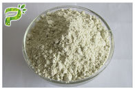 Sumber tanaman Suplemen Diet Alami Protein Organik Biji Rami Kernel Protein Powder 50% 60%