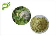 Sumber tanaman Suplemen Diet Alami Biji Labu Protein Bubuk Protein Vegan 50% 60%