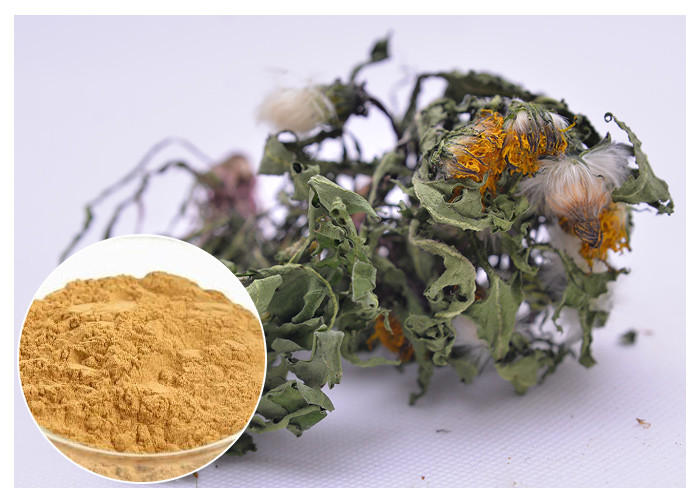 Tekanan Darah Rendah Ekstrak Tanaman Herbal Flavon Dandelion Root Extract Powder