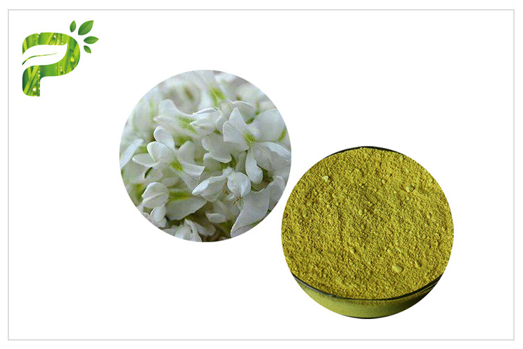 CAS 153-18-4 Suplemen Diet Alami Sophora Japonica Extract Rutin Powder
