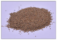 80 Mesh Seledri Extract Powder, Daun Apium Graveolens Extract Untuk Arthritis