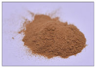 Anti-Virus Chicory acid Polifenol Echinacea pururea Extract Powder