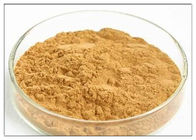 Brown Powder Natural Anti Inflammatory Suplemen yang diekstraksi dari Dandelion Root
