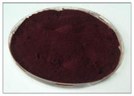 Suplemen anti inflamasi alami Proanthocyanidins (PACs) Cranberry Extract