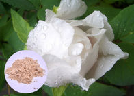 Peony Root Plant Extract Powder Paeonia Lactiflora Untuk Pemutihan Kulit