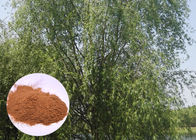 Salicin 98% Ekstrak Kulit Putih Willow, Bubuk Kulit Putih Willow CAS 138 52 3
