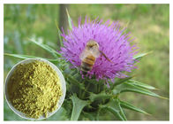Silymarin Herbal Plant Extract Milk Thistle Powder Dari Cahaya Biji Kuning Anti Kanker