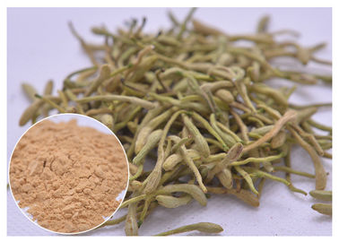 5%, 25% Lonicera japonica Ekstrak bubuk bunga Honeysuckle