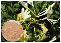 Asam Chlorogenic anti bakteri 5% bubuk ekstrak bunga Honeysuckle