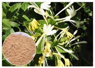 Ekstrak Bunga Bakteri Anti Bakteri Asam Chlorogenic 5% Ekstrak Bunga Honeysuckle Powder