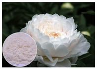 Renovasi Kulit Bahan Kosmetik Alami Warna Putih Paeonia Lactiflora Powder