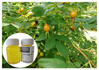 Scar Removal Rosehip Fruit Oil Cold Menekan Warna Kuning Dengan Asam Linolie