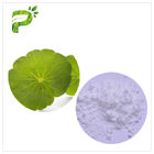 Ekstrak tumbuhan kosmetik alami ekstrak daun Centella Asiatica untuk perbaikan bekas luka kulit