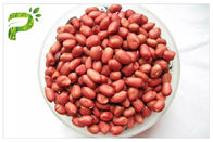 Diet Suplemen Kacang Tanah Proanthocyaindins PACs Warna Merah Tua