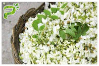 Kuncup Bunga Suplemen Energi Alami Vitamin P Powder Rutin Dari Sophora Japonica Extract
