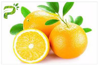 Ekstrak Anti Jamur / Bakteri Jeruk Citrus Aurantium Extract Sinensis Hesperidin CAS 520 26 2