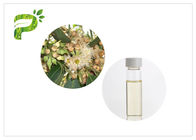 Minyak Esensial Alami Anti Jamur Minyak Kayu Putih Eucalyptus Globulus CAS No. 8000 48 4