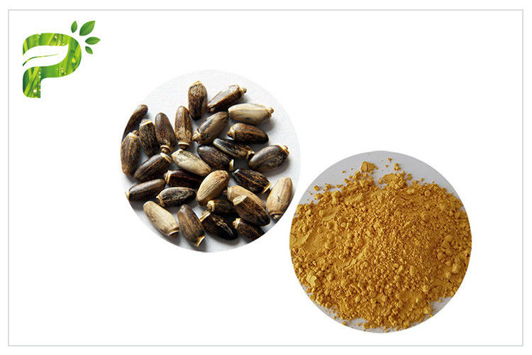 Susu Thistle Plant Extract Powder Silymarin 60% - 80% Mencegah Disorder Hati