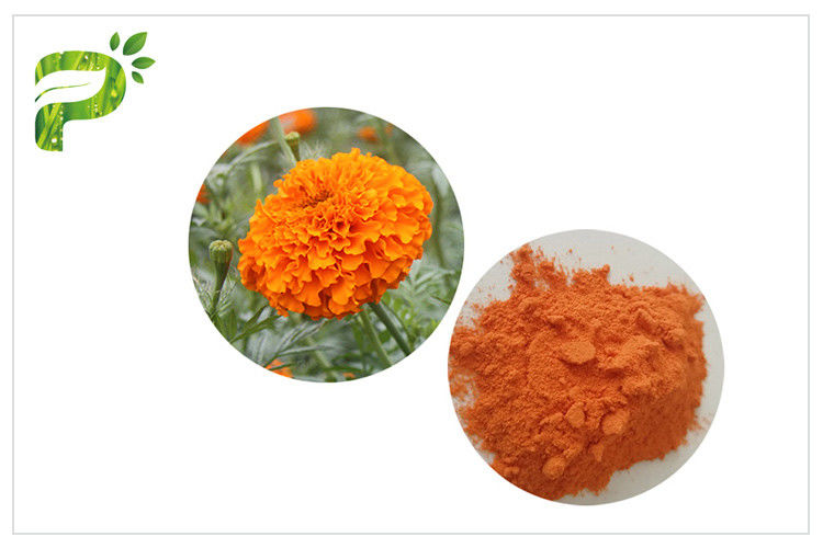 CAS 127 40 2 Ekstrak Bunga Lutein Marigold, Marigold Extract Powder Untuk Tablet