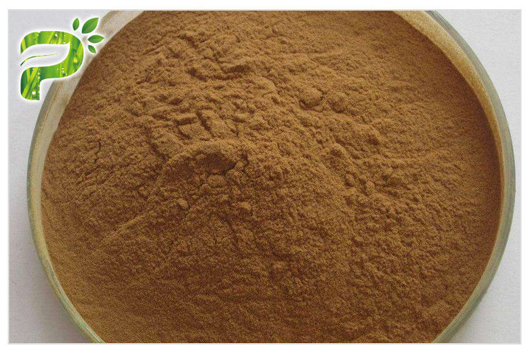 Brown Yellow Fine Powder Ginseng Root Extract 20 ((R) - Ginsenoside Rh2/Rg3 Anti Kanker