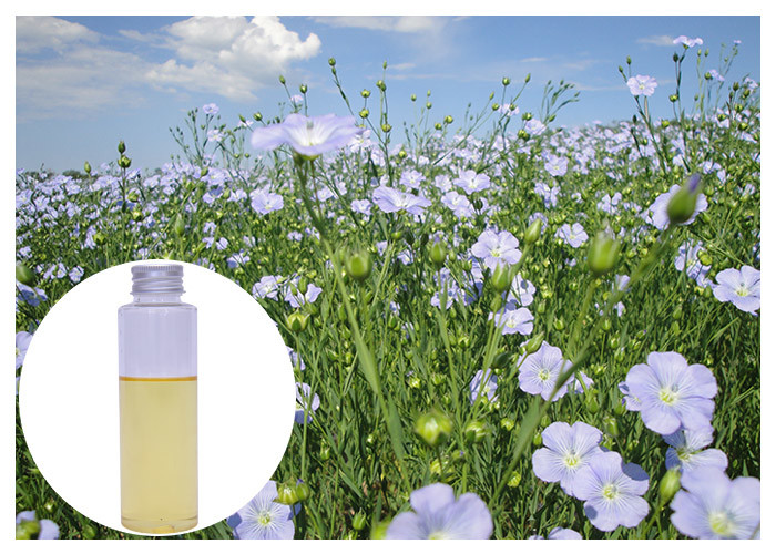 Turunkan Kolesterol Natural Flaxseed Oil Untuk Softgel Capsule Linum Usitatissimum Extract
