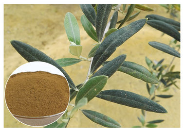 80 Mesh Natural Olive Leaf Extract Powder Food Grade Meningkatkan Sistem Kekebalan Tubuh