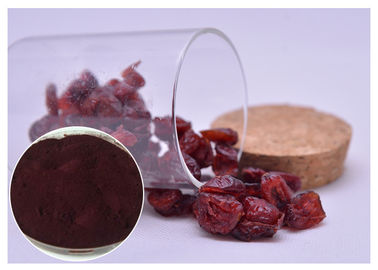 Skin Moisturizing Antibacterial Plant Mengkstrak Bubuk Merah Tua Dari Cranberry