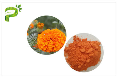 Retina Perlindungan Marigold Ekstrak Bunga, Lutein 5% Powder Marigold Extract Untuk Mata