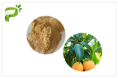 Anti-Ekstrak Tanaman Mikroba Mangiferin Mango Leaf Powder CAS 4773 96 0